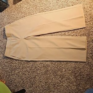 Ann Taylor Premium Wide leg ankle pants